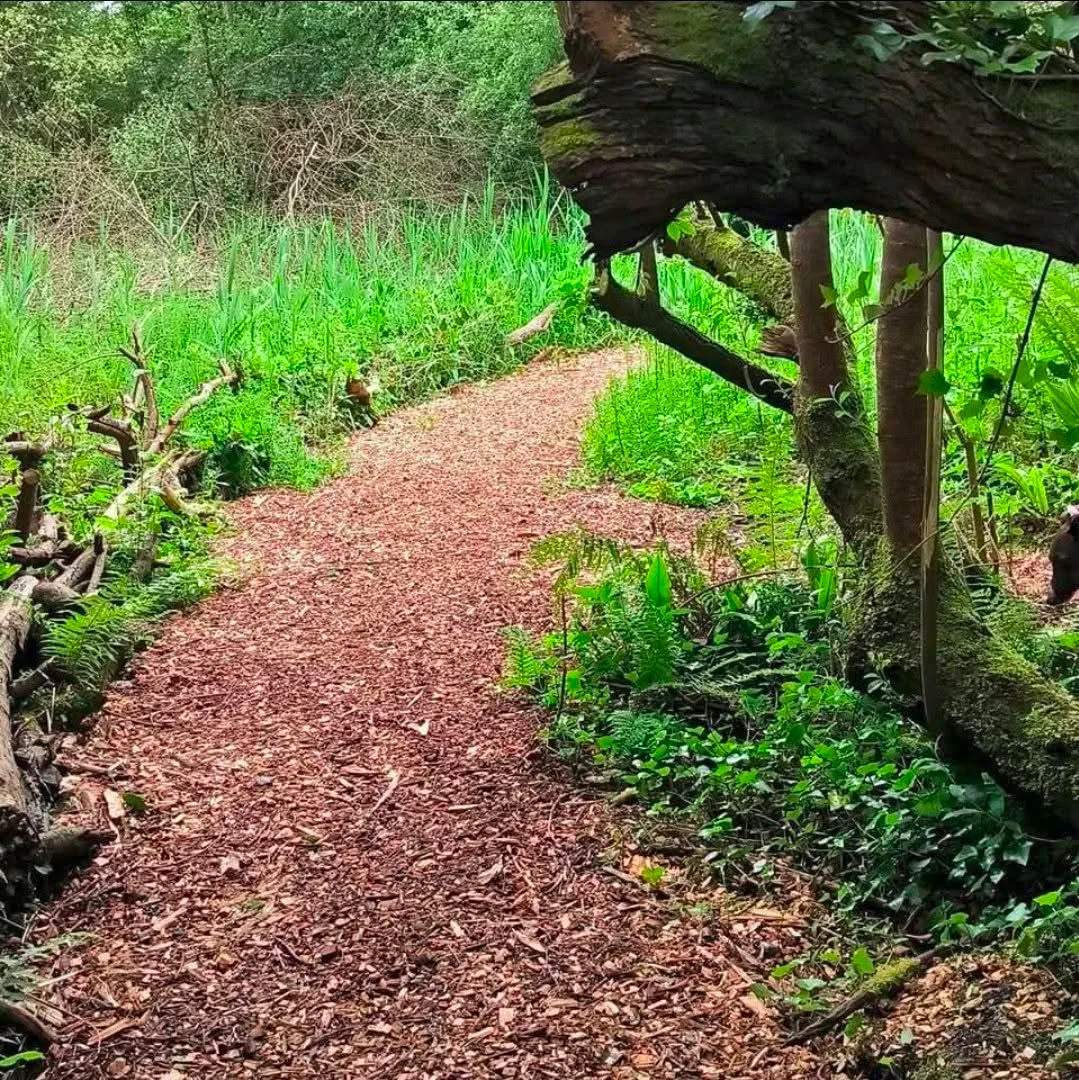 8 July 2026 - Biodiversity Walk & Talk in Riverview Estate
